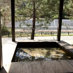 武田尾温泉 足湯