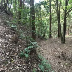 山下城址