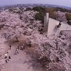 太田山公園