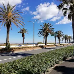 馬堀海岸