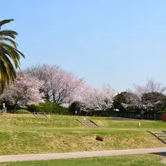 聚楽園公園 キャンプ場