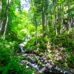 水根沢キャンプ場