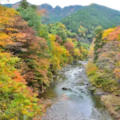 海沢川