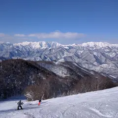 水上宝台樹キャンプ場