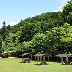 ゆめさきの森公園
