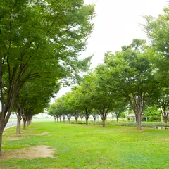 そなエリア東京BBQガーデン （東京臨海広域防災公園）
