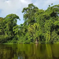 トルトゥゲロ国立公園（Tortuguero National Park）
