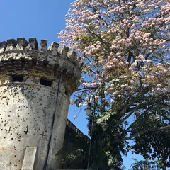 コスタリカ国立博物館（Costa Rica National Museum）