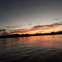バラ・デル・コロラド野生保護区（Barra del Colorado）