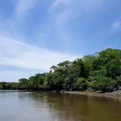 パロ・ベルデ国立公園（Palo Verde National Park）