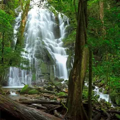 リンコン・デ・ラ・ビエハ国立公園（Rincon de la Vieja National Park）