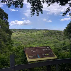 サンタ・ロサ国立公園（Santa Rosa National Park）