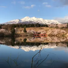 松ヶ峯の桜