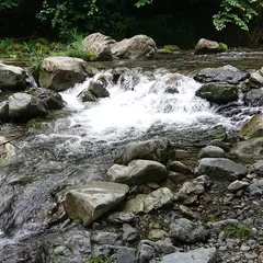 トラウトファーム秋川