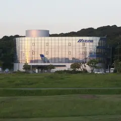 MIZUNO