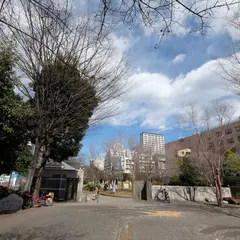 築地川公園デイキャンプ場