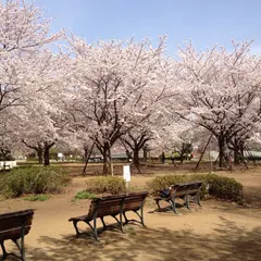 木場公園 バーベキュー広場