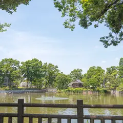 碑文谷公園