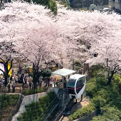 飛鳥山公園