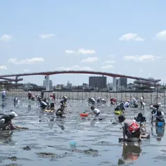 木更津海岸