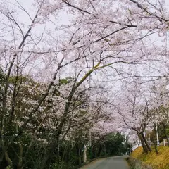 比治山公園