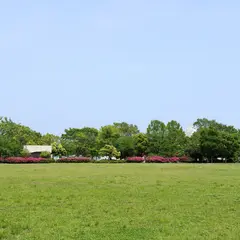 平和の森公園