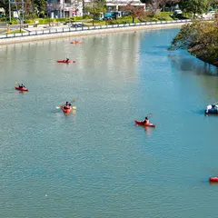 新左近川親水公園
