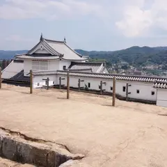 にこらす