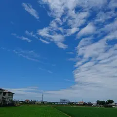 3peace