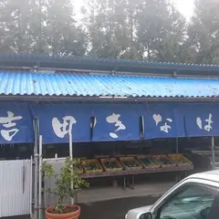 吉田きなはいや
