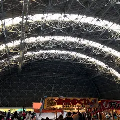 ドラゴンハット