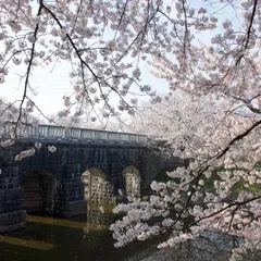 加治川治水記念公園