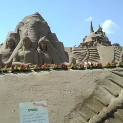 砂丘の杜きんぽう