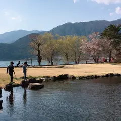 ほうとう研究所