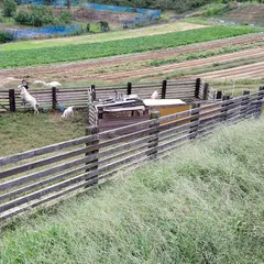 香南アグリーム