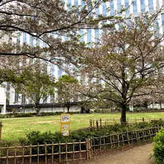 和泉公園