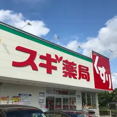 スギ薬局 平手店