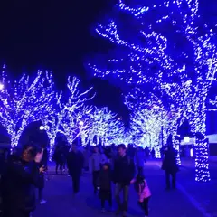 渋谷区役所前公共駐車場