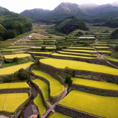 蕨野の棚田