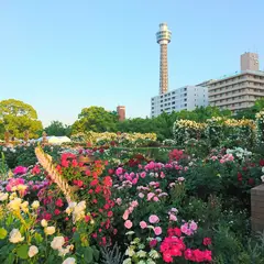 未来のバラ園