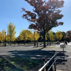 国営昭和記念公園 立川口駐車場