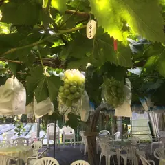 種子田梨園