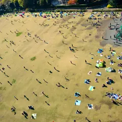 相模原麻溝公園