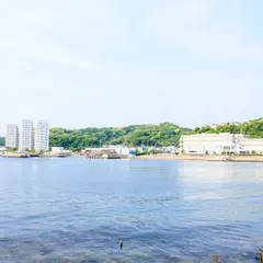 陸軍桟橋