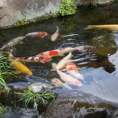 県営さいたま水族館