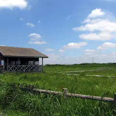 成東・東金食虫植物群落