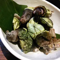 がいや 阿佐ヶ谷店