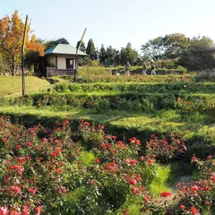 ばら庭園
