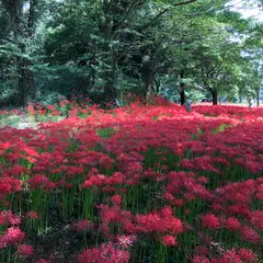 七ツ森古墳群