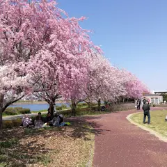 童夢公園